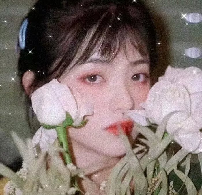 翻叮一族粤语